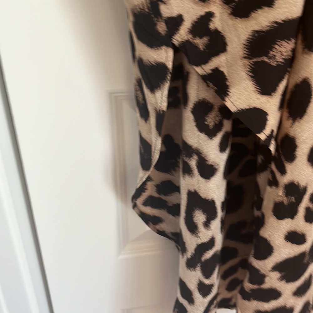 🐆Fun Leopard Dress 🍂🍁 - Picture 5 of 5